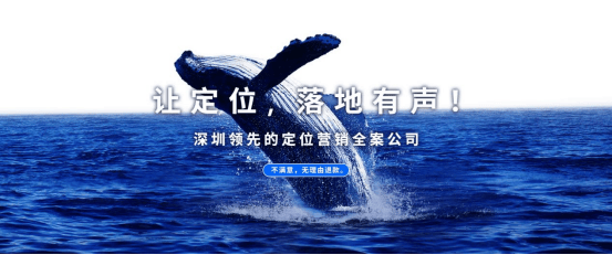 居品牌定位公司知名案例解析开元棋牌app非常差异：家